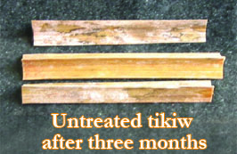 untreatedtikiw